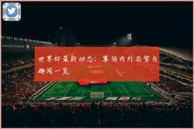 世界杯最新动态：赛场内外花絮与趣闻一览